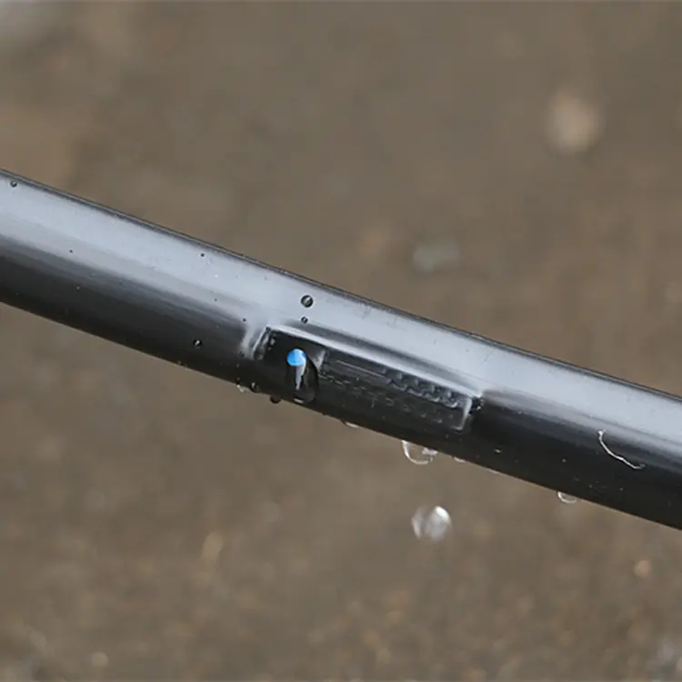 Una nuova scelta per un efficiente risparmio idrico: il valore dell'applicazione del nastro di irrigazione a goccia intarsiato